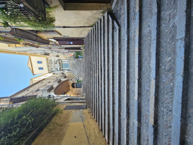 20260224_104208.jpg
